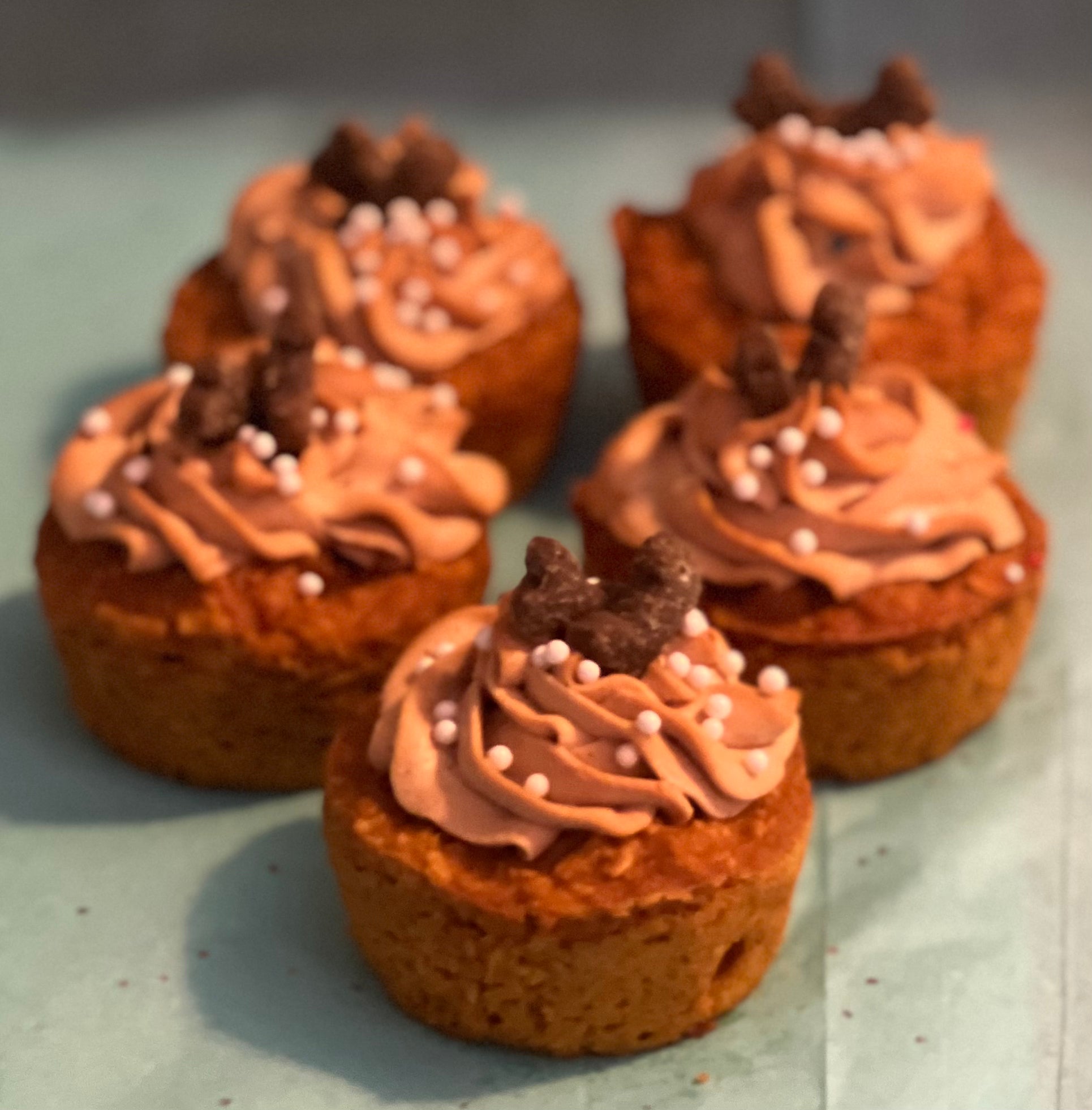 2 - Large Pumpkin and Peanut Butter Pupcake - Boxed